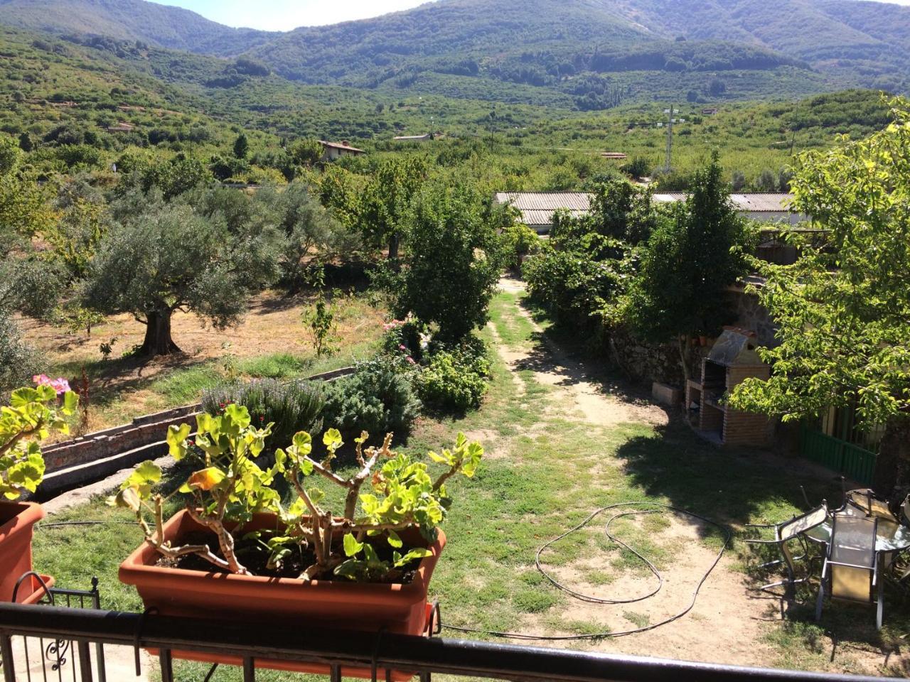 La Antigua Tahona Apartment Navaconcejo Luaran gambar